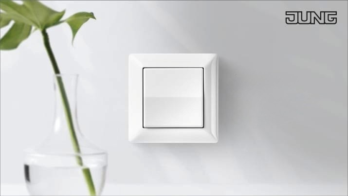 Ein weisser Schalter an einer hellen Wand. Daneben eine Grünpflanze und das Logo vom Hersteller Jung.